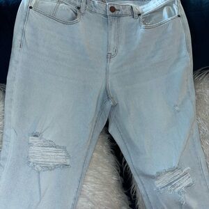 Lane Bryant capri jeans with holes in the knee area.
